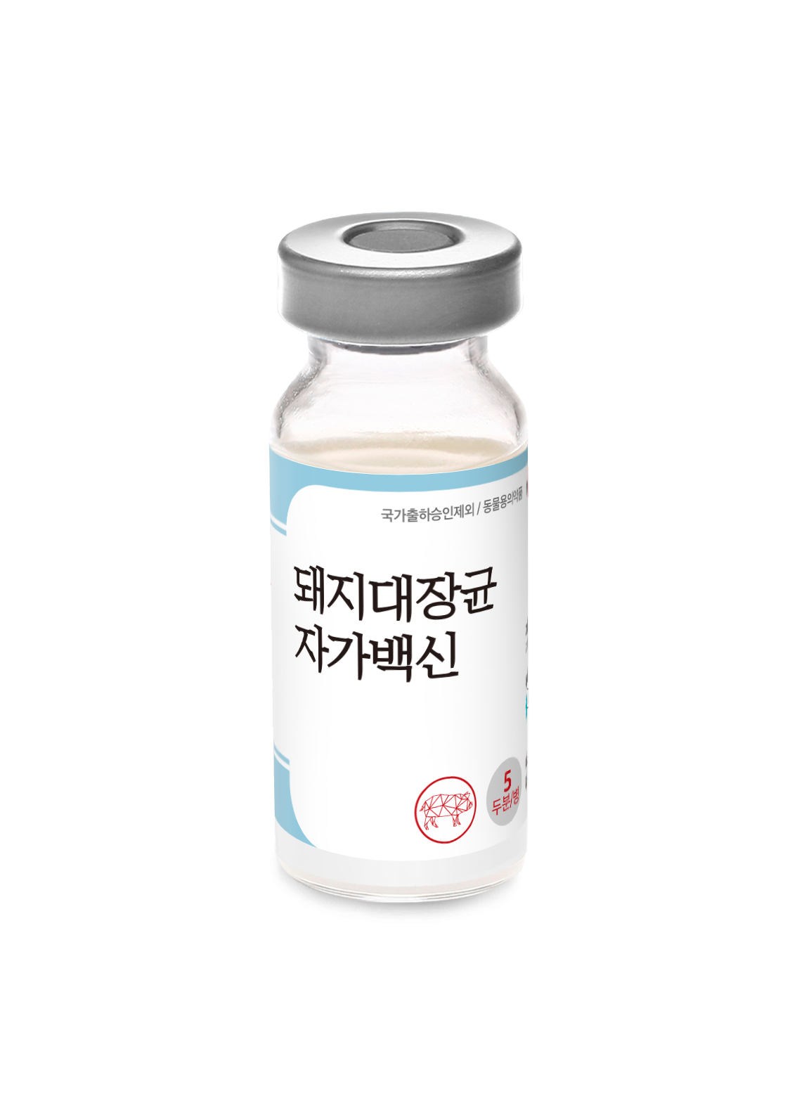 돼지대장균 자가백신